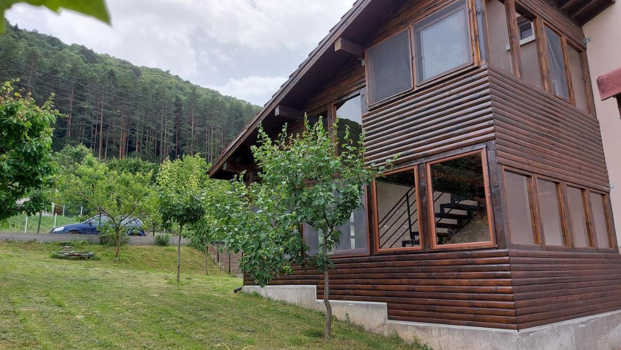 Forest Apartment Saparewa Banja Zewnętrze zdjęcie