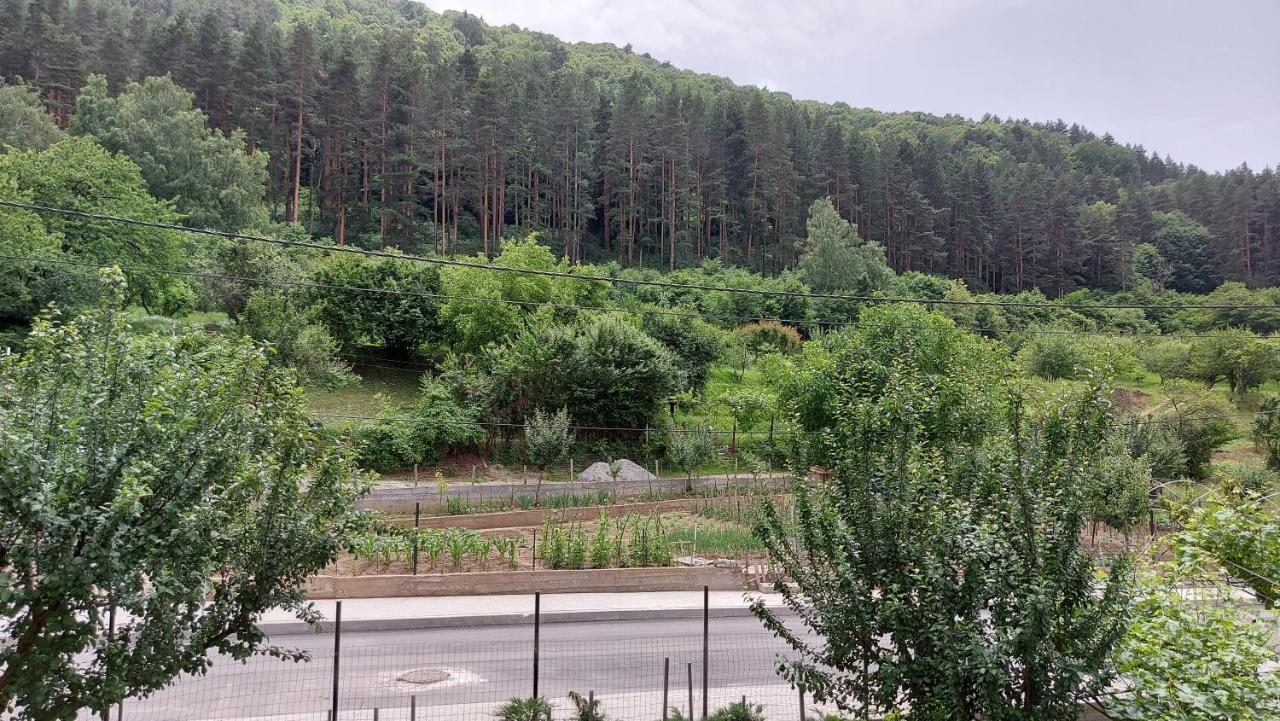 Forest Apartment Saparewa Banja Zewnętrze zdjęcie