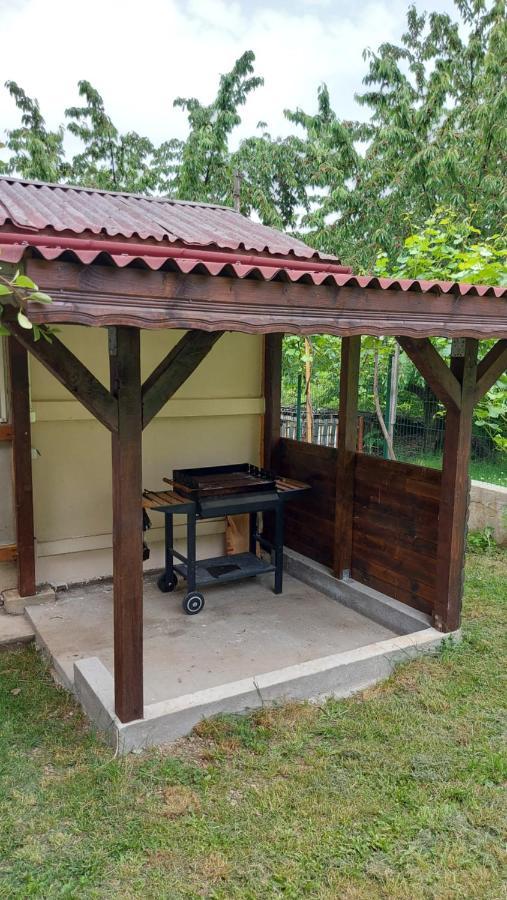 Forest Apartment Saparewa Banja Zewnętrze zdjęcie